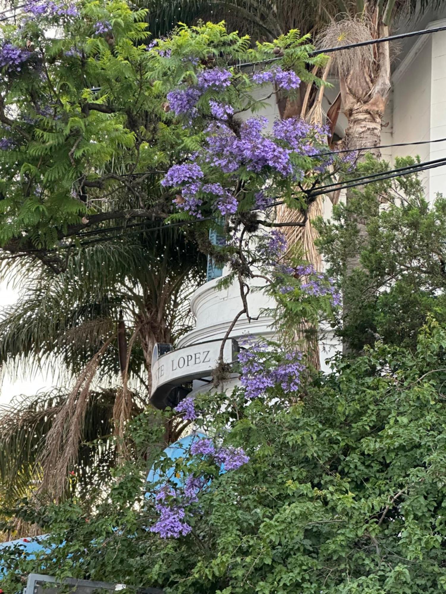 Hotel Vicente López Екстериор снимка